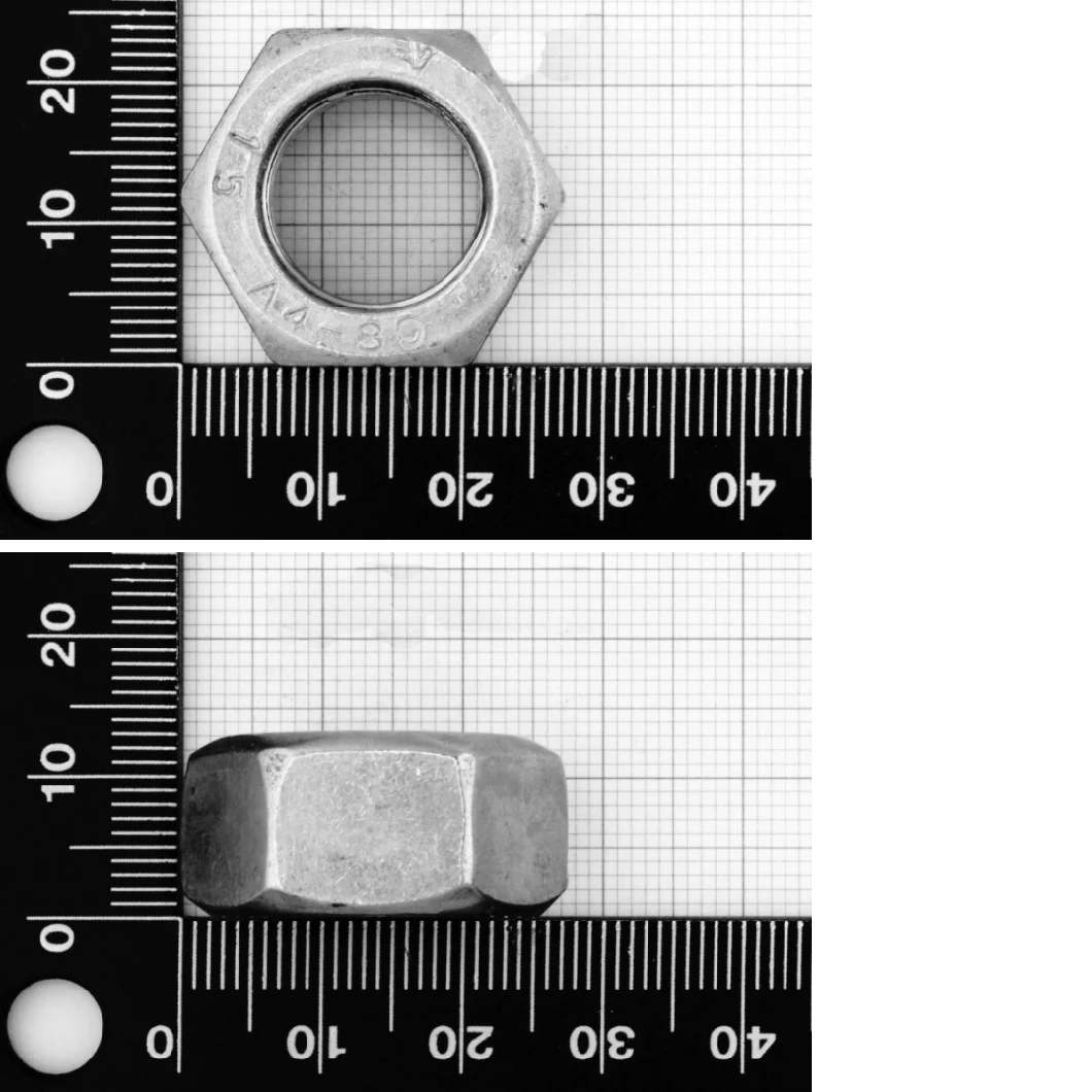 China Fastener Manufacturer Tc4 DIN934 Nut Titanium M8 for Sale Hexagon Titanium Nuts and Bolts