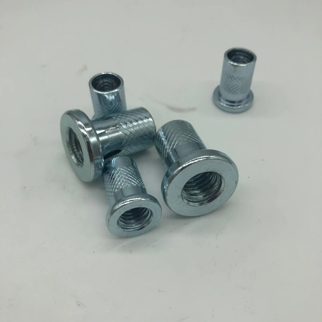 M20 M6 M12 Titanium Special M2 Flat Head Stainless Steel Custom Brass M8 Blind Riveting Rivet Nut