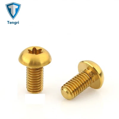 Parafuso Torx disco de titânio ouro Ti M5 X 10 mm para ciclismo de montanha